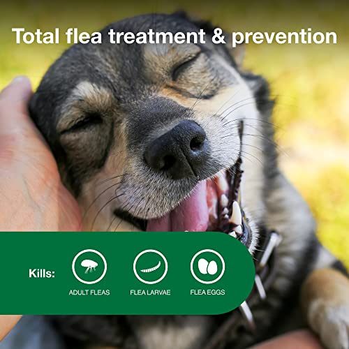 Advantage II Medium Dog Vet-Recommended Flea Treatment & Prevention | Dogs 11-20 lbs. | 4-Month Supply