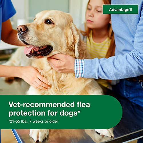 Advantage II Large Dog Vet-Recommended Flea Treatment & Prevention | Dogs 21-55 lbs. | 4-Month Supply