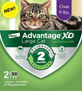 advantage® xd new flea prevention & treatment for large cats over 9 lbs, 2 topical doses, 4-month coverage, long lasting
