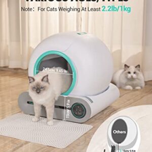 Famree Smart Self-Cleaning Cat Litter Box,Automatic Cat Litter Cleaning Robot with 65L+9L Large Capacity/APP Control/Ionic Deodorizer for Multiple Cats【2023 New Structure】, Turquoise Green