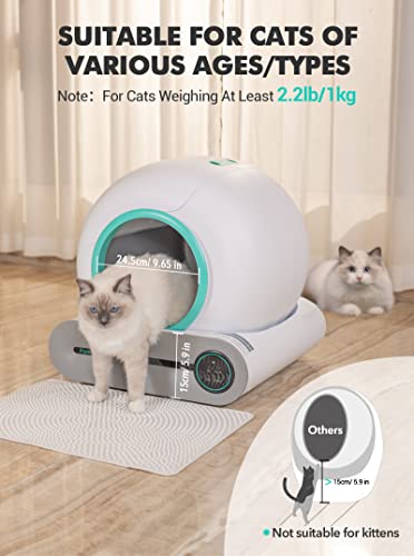 Famree Smart Self-Cleaning Cat Litter Box,Automatic Cat Litter Cleaning Robot with 65L+9L Large Capacity/APP Control/Ionic Deodorizer for Multiple Cats【2023 New Structure】, Turquoise Green