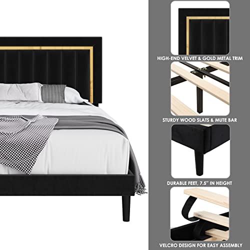 HITHOS King Size Bed Frame with Adjustable Tufted Headboard, Velvet Upholstered Platform Bed Frame with Gold Trim, Heavy Duty Mattress Foundation with Steel Frame, Easy-Assembly Slats (Black, King)