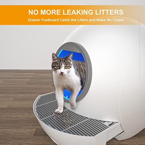 Hillpig Self-Cleaning Cat Litter Box: Extra Large Automatic Cat Litter Box with APP Control & Safe Alert & Smart Health Monitor for Multiple Cats [2023 Newest Version]