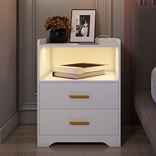 dnbss White Nightstand with Charging Station and Led Nightstand,Nightstands with 2 Drawers,Smart Bedside Table,Bed Side Table/Night Stand for Bedroom,Smart Night Stand Bedside Table Auto-Light ON