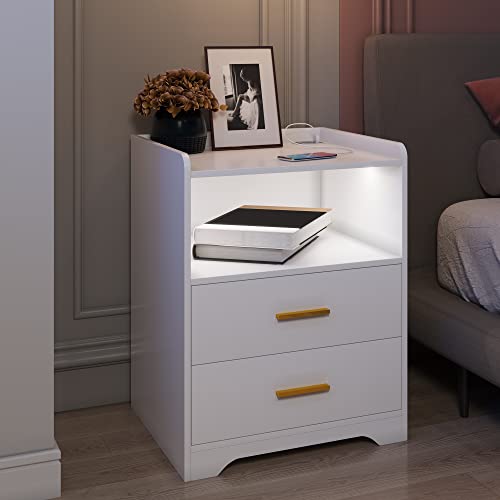 dnbss White Nightstand with Charging Station and Led Nightstand,Nightstands with 2 Drawers,Smart Bedside Table,Bed Side Table/Night Stand for Bedroom,Smart Night Stand Bedside Table Auto-Light ON