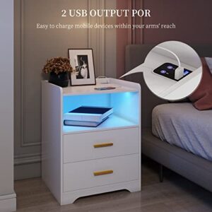 dnbss White Nightstand with Charging Station and Led Nightstand,Nightstands with 2 Drawers,Smart Bedside Table,Bed Side Table/Night Stand for Bedroom,Smart Night Stand Bedside Table Auto-Light ON