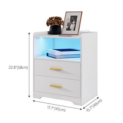 dnbss White Nightstand with Charging Station and Led Nightstand,Nightstands with 2 Drawers,Smart Bedside Table,Bed Side Table/Night Stand for Bedroom,Smart Night Stand Bedside Table Auto-Light ON