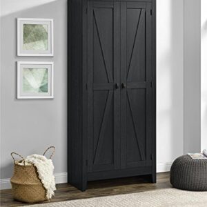 Ameriwood HOME SystemBuild Farmington 31.5 inch Wide Storage Cabinet, Black Oak