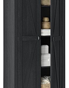 Ameriwood HOME SystemBuild Farmington 31.5 inch Wide Storage Cabinet, Black Oak