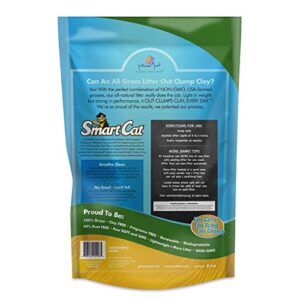 SmartCat All Natural Clumping Litter, 20-Pound (6506), (Pack of 1), 320 Ounce.