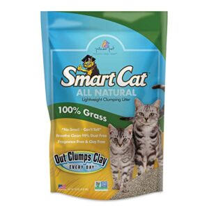 SmartCat All Natural Clumping Litter, 20-Pound (6506), (Pack of 1), 320 Ounce.