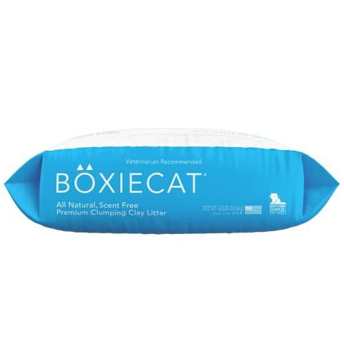 Boxiecat Premium Clumping Cat Litter - Scent Free - Clay Formula - Ultra Clean Litter Box, Longer Lasting Odor Control, Hard Clumping Litter, 99.9% Dust Free, Blue, 40 lb