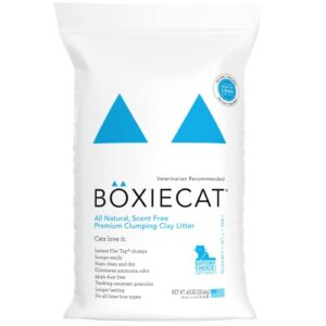 boxiecat premium clumping cat litter – scent free – clay formula – ultra clean litter box, longer lasting odor control, hard clumping litter, 99.9% dust free, blue, 40 lb