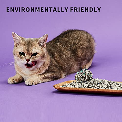 PETKIT 5 in 1 Mixed Cat Litter, Flushable, Odor Free, Activated Carbon, Ultra Absorbent and Fast Drying Tofu Cat Litter (Two-Packs)