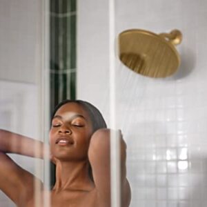 Moen S112BG Waterhill 10-Inch Single Function Showerhead with Immersion Rainshower Technology, Brushed Gold