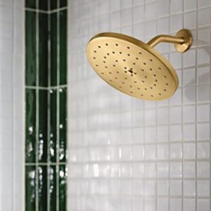 Moen S112BG Waterhill 10-Inch Single Function Showerhead with Immersion Rainshower Technology, Brushed Gold