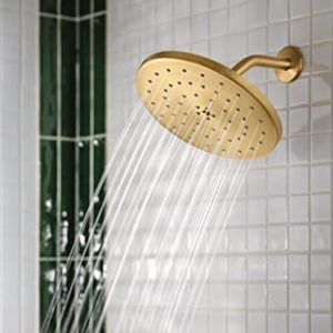 Moen S112BG Waterhill 10-Inch Single Function Showerhead with Immersion Rainshower Technology, Brushed Gold