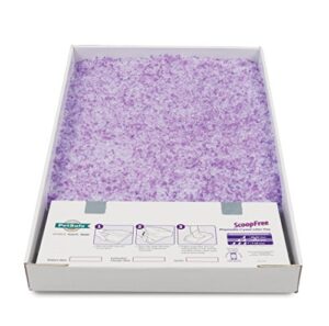 scoopfree lavender crystals litter trays – 1 pack