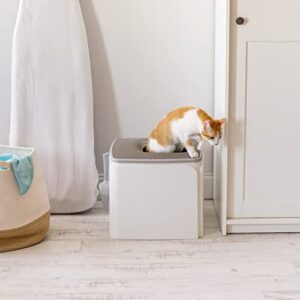 IRIS USA Large Premium Square Top Entry Cat Litter Box with Scoop, Kitty Litter Pan with Litter Particle Catching Cover and Privacy Walls, White/Gray