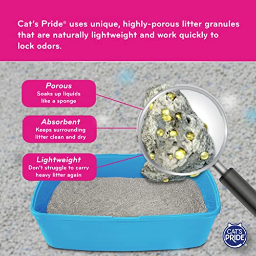 Cat's Pride Lightweight Clumping Cat Litter 10 Pounds, Easy Scoop