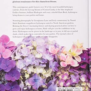 Hydrangeas: Beautiful Varieties for Home and Garden