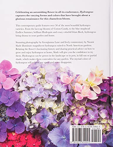 Hydrangeas: Beautiful Varieties for Home and Garden