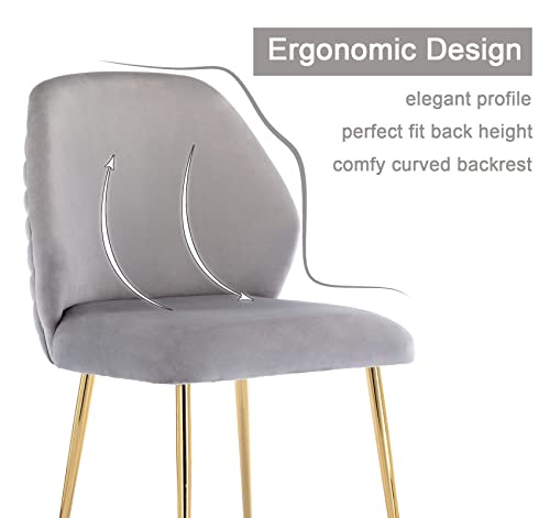 Guyou Grey Velvet Dining Chairs Set of 2, Modern Upholstered Dining Room Chairs Tufted Armless Side Chair with Gold Legs and Ring Pull for Kitchen Living Room Bedrooms Vanity (Grey)