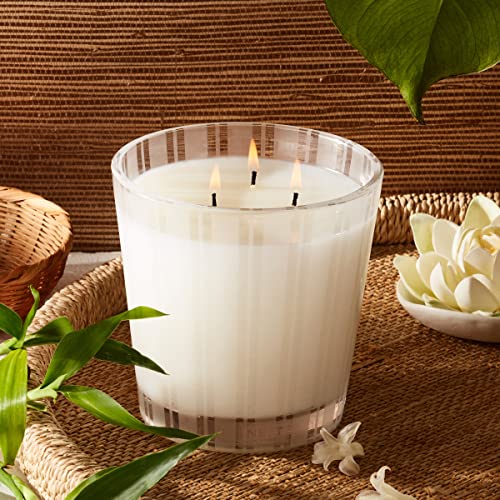 NEST Fragrances NEST03BM002 3-Wick Candle- Bamboo , 21.2 oz