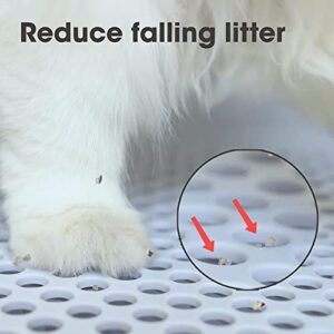 CATLINK Ramp, Compatible with All Catlink Self Cleaning Cat Litter Box, Easy Entry for Elder Cats, Kitten and Cats with Limited Mobility, Traps Mess from Box and Paws (White)