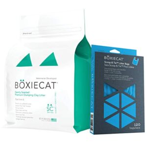 boxiecat 28 lb clumping clay + cleanup