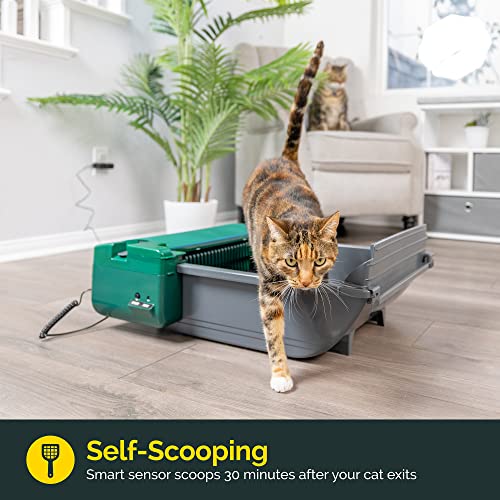Pet Zone Smart Scoop Automatic Litter Box (Self Cleaning Litter Box, Cat Litter Box with No Expensive Refills) [Hands-Free, Easy to Clean Waste Disposal Litter Box, Works with Clumping Cat Litter]