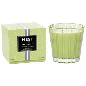nest new york lime zest & matcha scented 3-wick candle