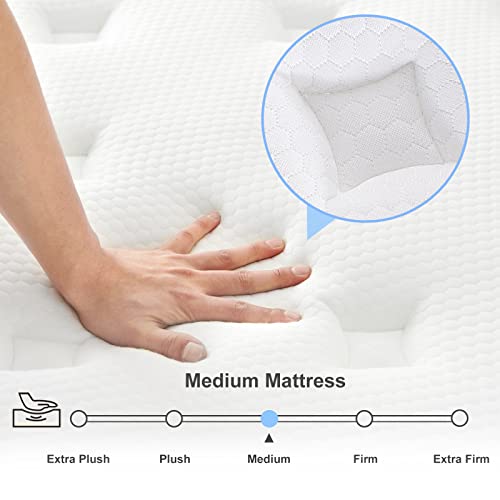 IYEE NATURE King Mattress, 10 Inch King Size Hybrid Mattress Individual Pocket Springs with Foam,King Bed in a Box with Breathable and Pressure Relief,Medium Plush,Bule