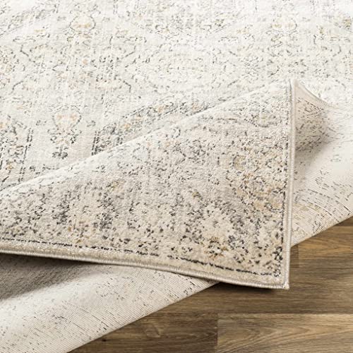 Bluffs Moroccan Farmhouse Living Room Bedroom Dining Room Square Area Rug - Bohemian Style - Boho Vintage Distressed Carpet - Beige, Gray, Brown, Cream - 6'7" Square