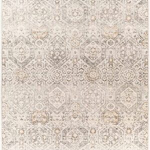 Bluffs Moroccan Farmhouse Living Room Bedroom Dining Room Square Area Rug - Bohemian Style - Boho Vintage Distressed Carpet - Beige, Gray, Brown, Cream - 6'7" Square