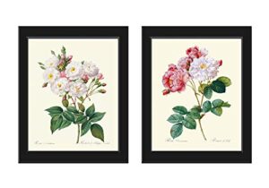 botanical pink white roses prints – unframed – beautiful antique illustration wall art set of 2 prints french flowers home room decor small or large dining room bedroom living interior design lrr