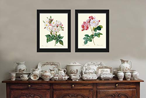 Botanical Pink White Roses Prints - Unframed - Beautiful Antique Illustration Wall Art Set of 2 Prints French Flowers Home Room Decor Small or Large Dining Room Bedroom Living Interior Design LRR