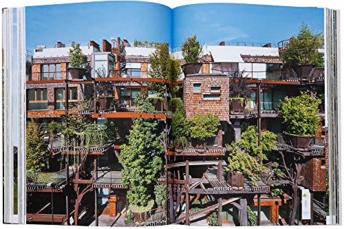 Evergreen Architecture: Overgrown Buldings and Greener Living