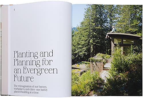 Evergreen Architecture: Overgrown Buldings and Greener Living