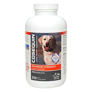 nutramax cosequin maximum strength joint health supplement for dogs – with glucosamine, chondroitin, msm, and hyaluronic acid, 250 chewable tablets
