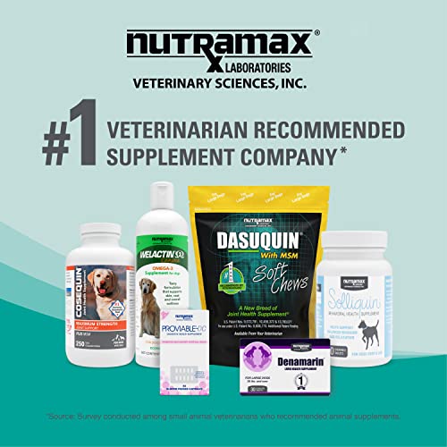 Nutramax Dasuquin Joint Health Supplement for Large Dogs - With Glucosamine, Chondroitin, ASU, Boswellia Serrata Extract, and Green Tea Extract, 84 Soft Chews