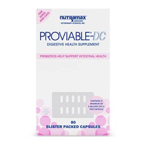 nutramax proviable digestive health supplement multi-strain probiotics and prebiotics for cats and dogs – with 7 strains of bacteria, 80 capsules