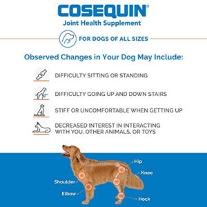 Nutramax Cosequin Joint Health Supplement for Dogs - With Glucosamine, Chondroitin, MSM, and Omega-3's, 120 Soft Chews