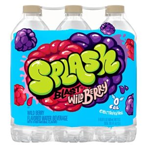 splash blast, flavored water beverage, wild berry flavor, 16.9 fl oz plastic bottles, 6 pack
