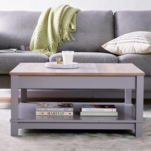 Ameriwood Home Carver Coffee Table, Gray