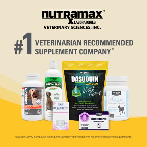 Nutramax Dasuquin with MSM Joint Health Supplement for Large Dogs - With Glucosamine, MSM, Chondroitin, ASU, Boswellia Serrata Extract, and Green Tea Extract, 150 Chewable Tablets