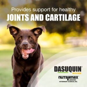 Nutramax Dasuquin with MSM Joint Health Supplement for Large Dogs - With Glucosamine, MSM, Chondroitin, ASU, Boswellia Serrata Extract, and Green Tea Extract, 150 Chewable Tablets