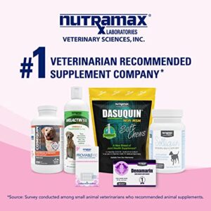 Nutramax Proviable Digestive Health Supplement Kit with Multi-Strain Probiotics and Prebiotics for Medium to Large Dogs - with 7 Strains of Bacteria, 30 mL Paste and 10 Capsules