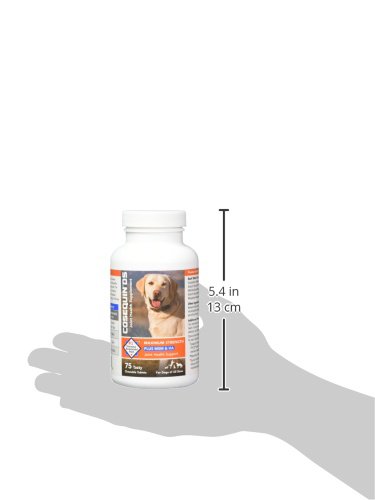 Nutramax Cosequin Maximum Strength Joint Health Supplement for Dogs - With Glucosamine, Chondroitin, MSM, and Hyaluronic Acid, 75 Chewable Tablets (Pack of 1)