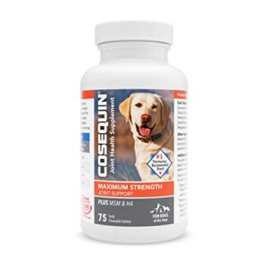 nutramax cosequin maximum strength joint health supplement for dogs – with glucosamine, chondroitin, msm, and hyaluronic acid, 75 chewable tablets (pack of 1)